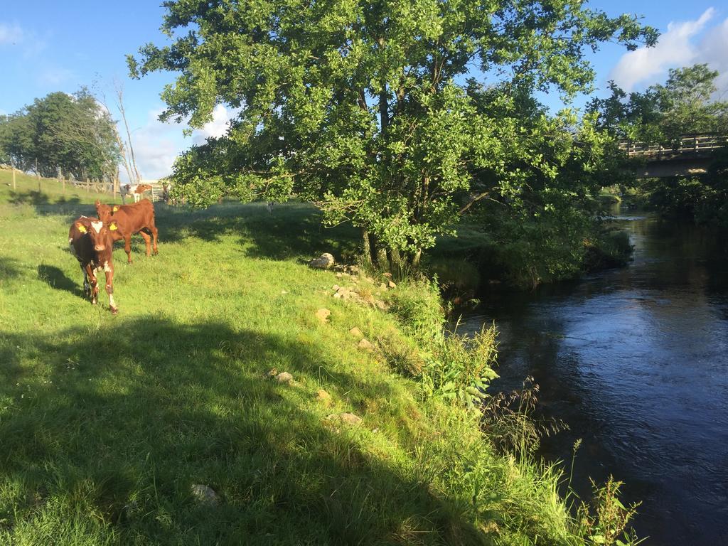 Agroturismo Eikeland Gard Bjerkreim